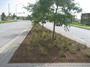 Landscape Construction